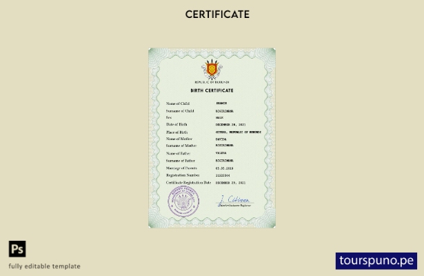 listo para imprimir plantilla PSD de certificado de nacimiento de registro civ 9